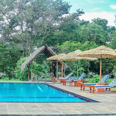 Sigiriya Peacock Homestay Екстериор снимка