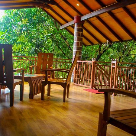 Sigiriya Peacock Homestay Екстериор снимка