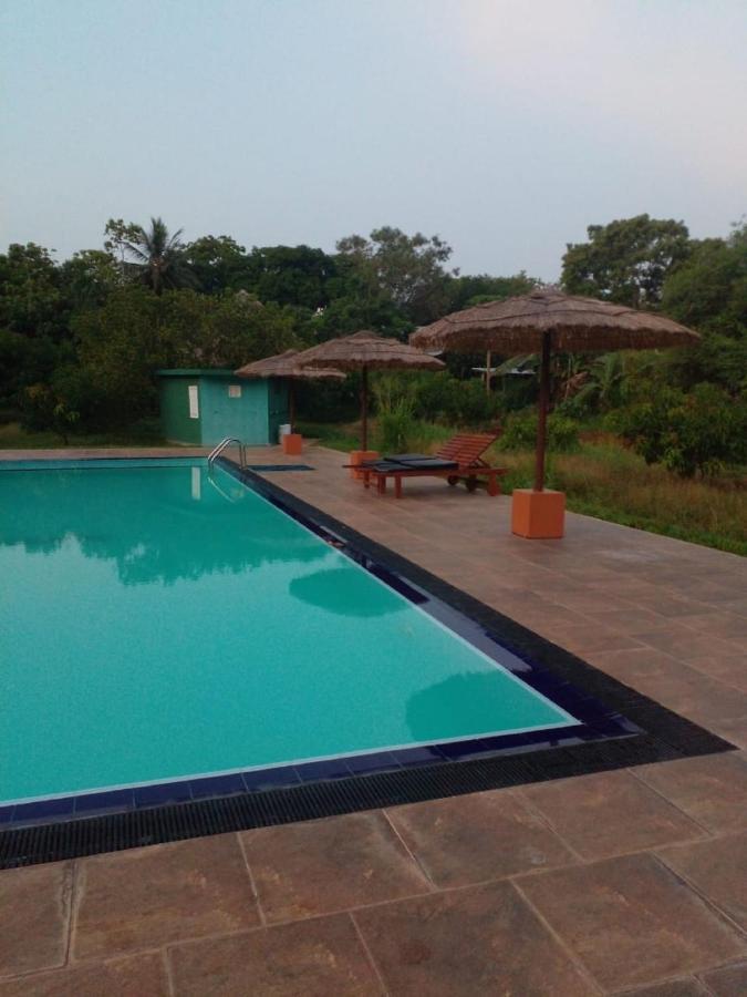 Sigiriya Peacock Homestay Екстериор снимка