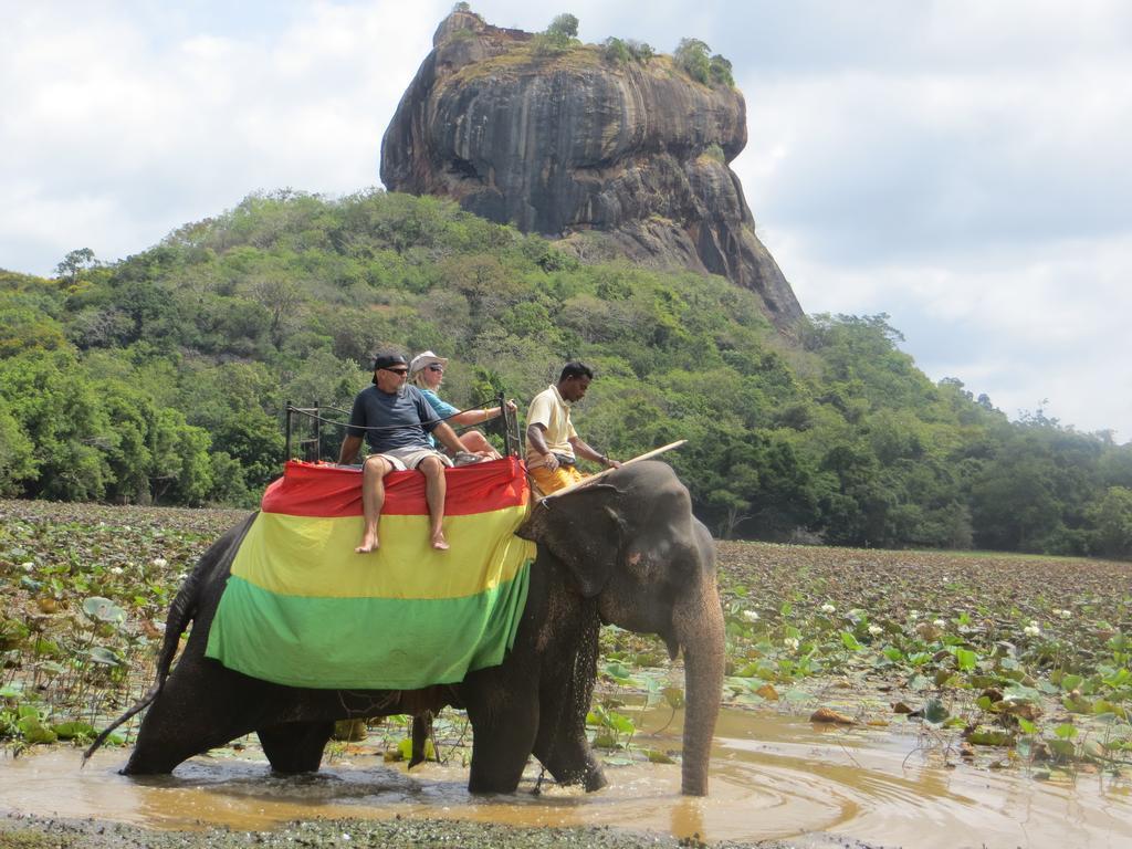 Sigiriya Peacock Homestay Екстериор снимка