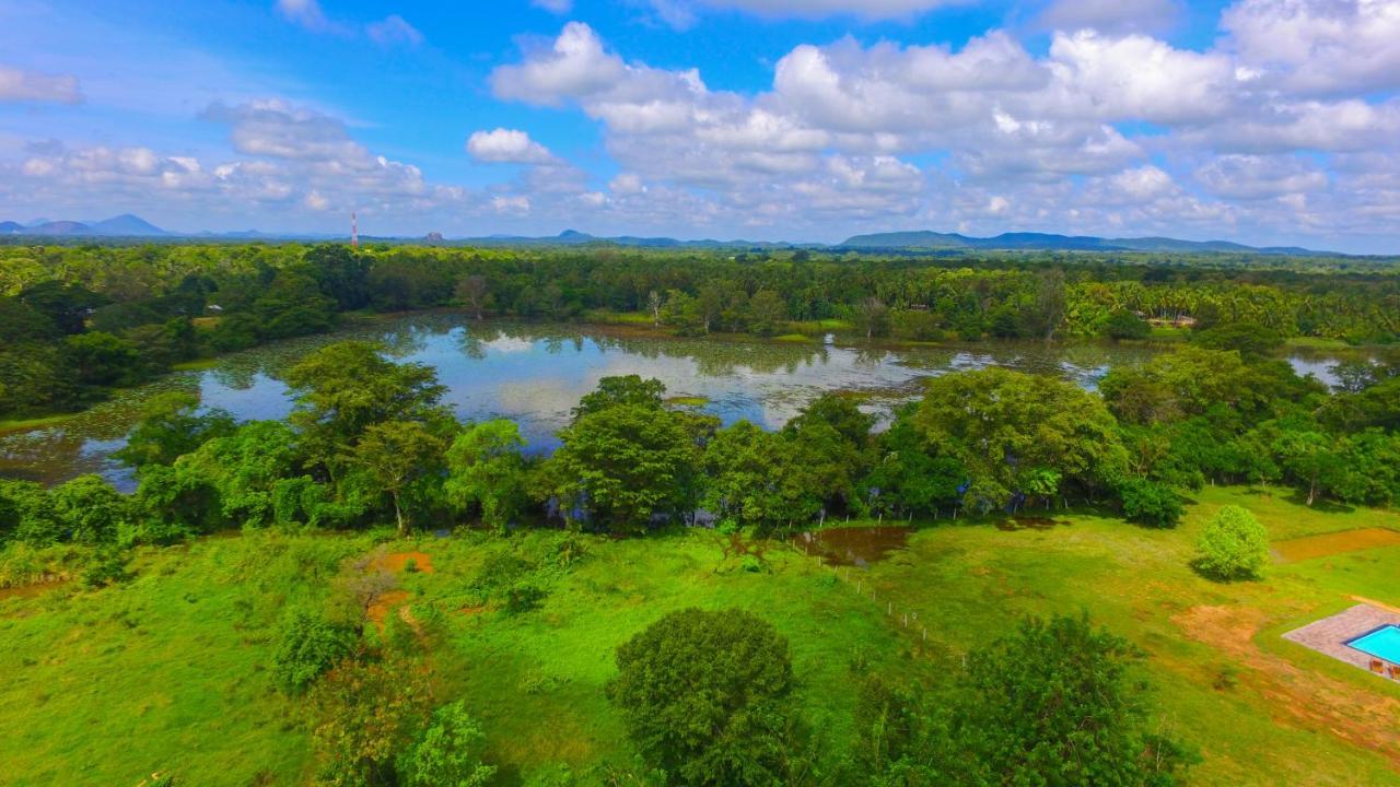 Sigiriya Peacock Homestay Екстериор снимка